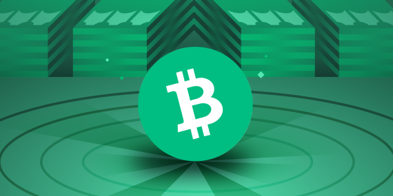 Bitcoin Cash te ayı tuzağı ihtimali