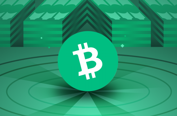 Bitcoin-Cash