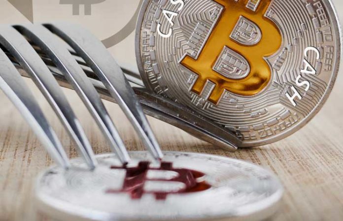 bitcoincash-fork