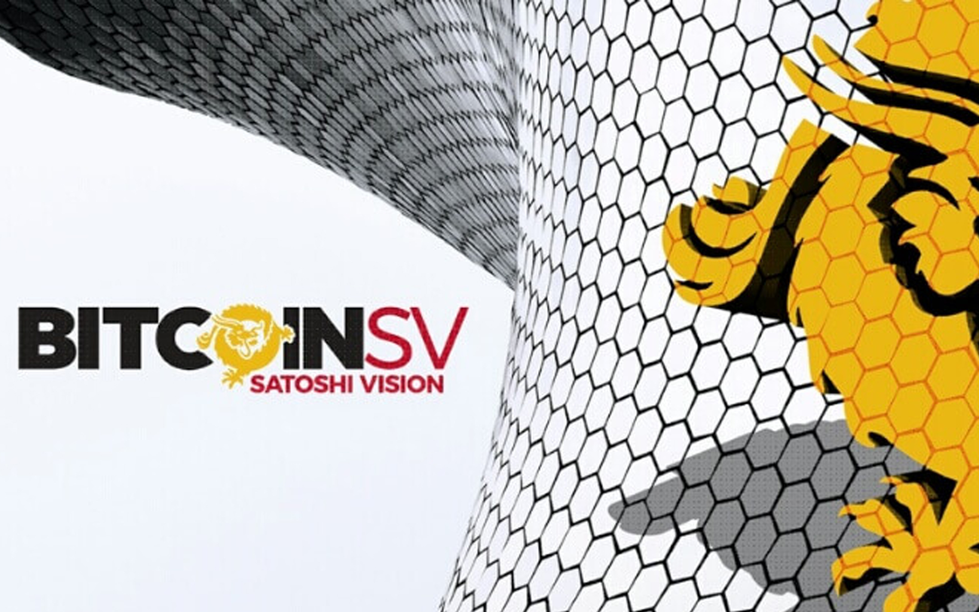 BLOCKCHAIN.COM CÜZDANI BITCOINSV İÇİN SINIRLI DESTEK VERECEK