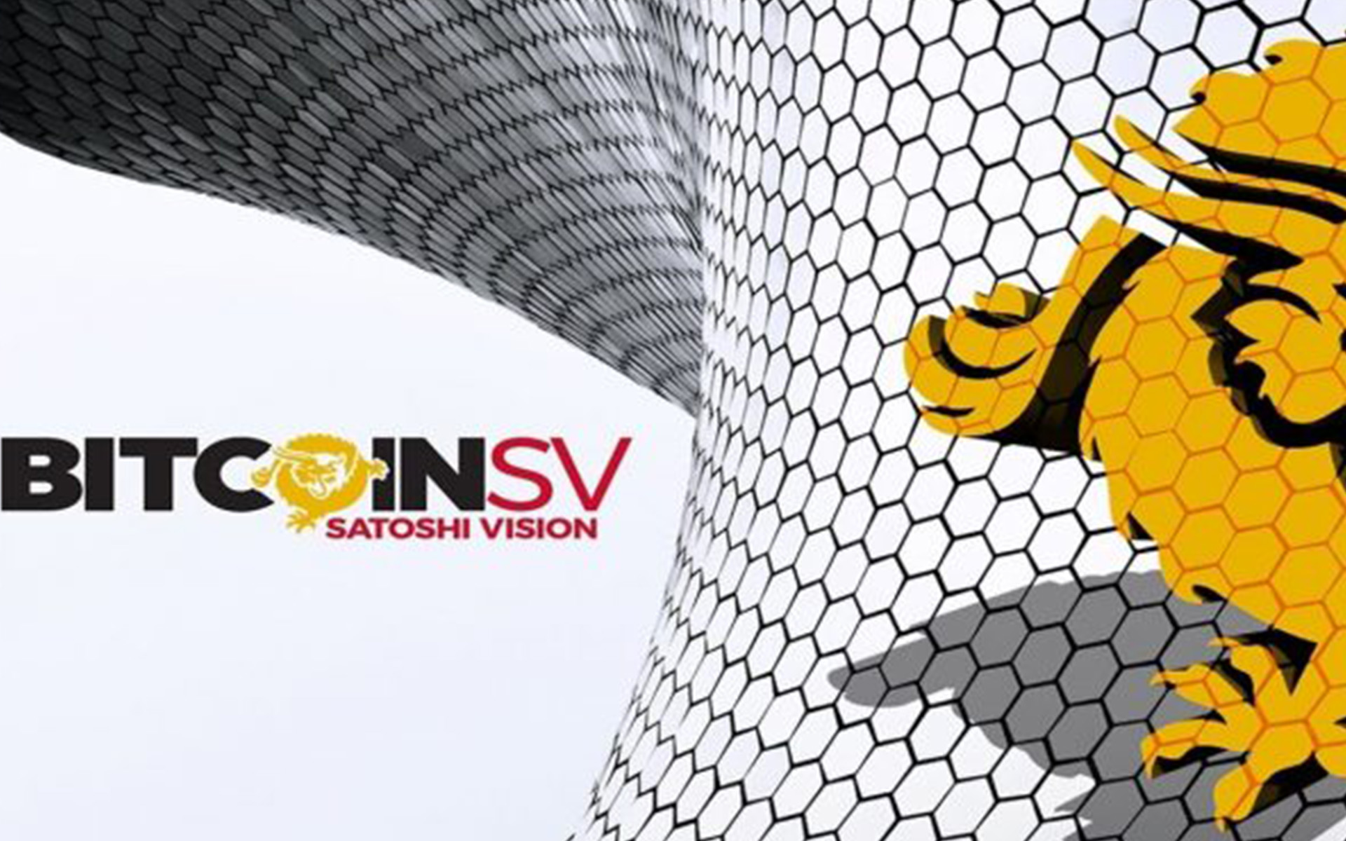 COINBASE KULLANCICILARI ARTIK BSV Yİ HARİCİ CÜZDANLARA ÇEKEBİLECEKLER