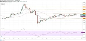 kriptoarena-binance-coin-de-bogalar-aktif-olmak-istiyor