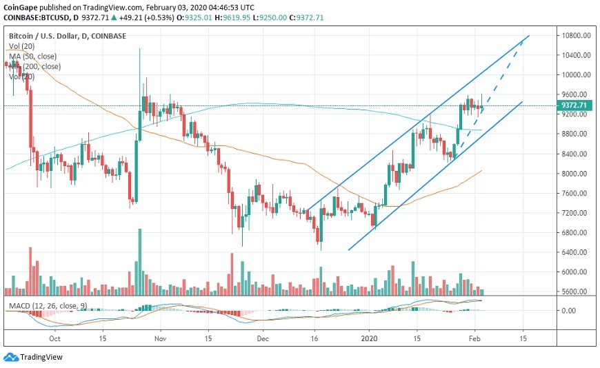 kriptoarena-bitcoin-de-bogalar-biraz-daha-etkin-gozukuyor