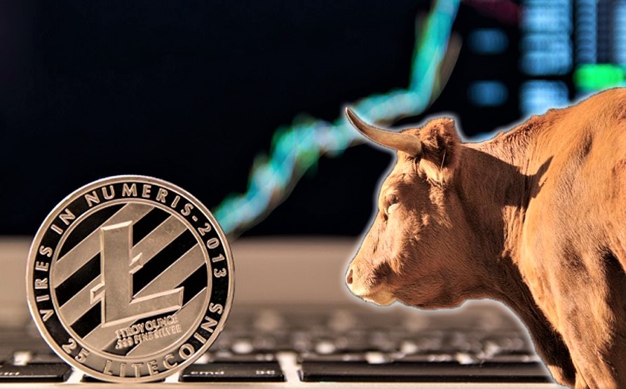 kriptoarena-bogalarin-bekleyiste-oldugu-litecoin-yon-arayisinda
