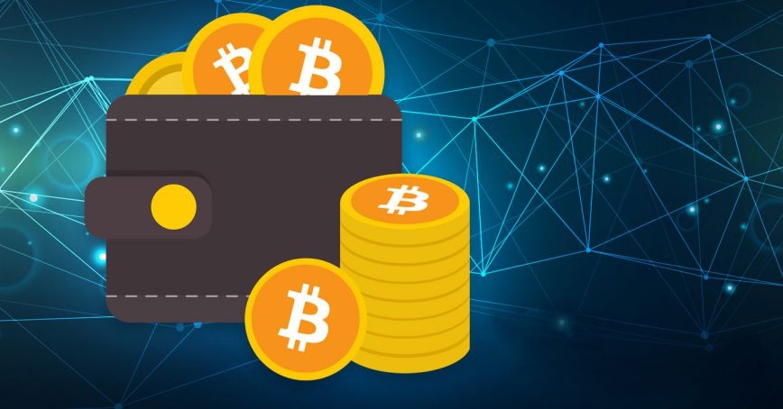 kriptoarena-cuzdanlardaki-bitcoin-dagilimi-neyi-isaret-ediyor