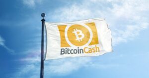 kriptoarena-iki-madenci-bitcoin-cash-agina-iyi-nyiyeli-51-saldiri-gerceklestirdi