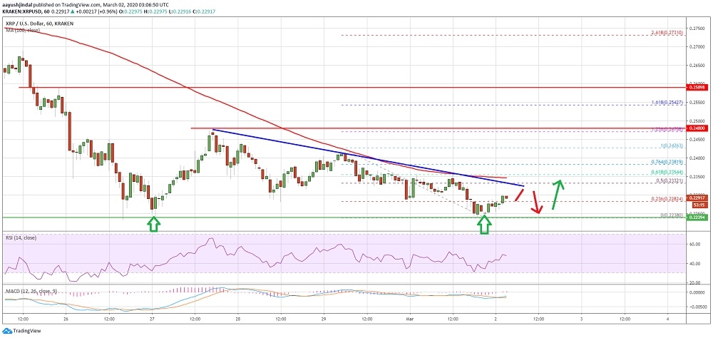 kriptoarena-xrp-nin-teknik-analizi-ne-yonde-bir-sinyal-uretiyor