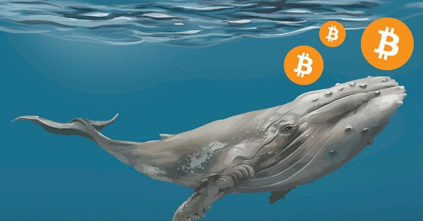 kriptoarena-yarim-milyar-dolarlik-gizemli-bitcoin-hareketi