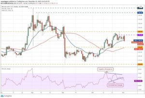 kriptoarena_bitcoin-cash-te-ayi-boga936796