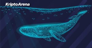 kriptoarena_bitcoin-tarihindeki-en-yuksek-balina132097