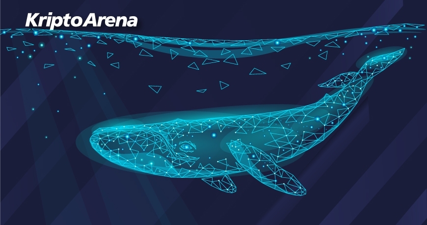 kriptoarena_bitcoin-tarihindeki-en-yuksek-balina132097