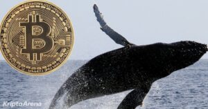 kriptoarena_buyuk-bitcoin-sahiplerinden-24-saatte-1-97242887
