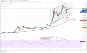 kriptoarena_cardano-ada-kritik-destegin845217