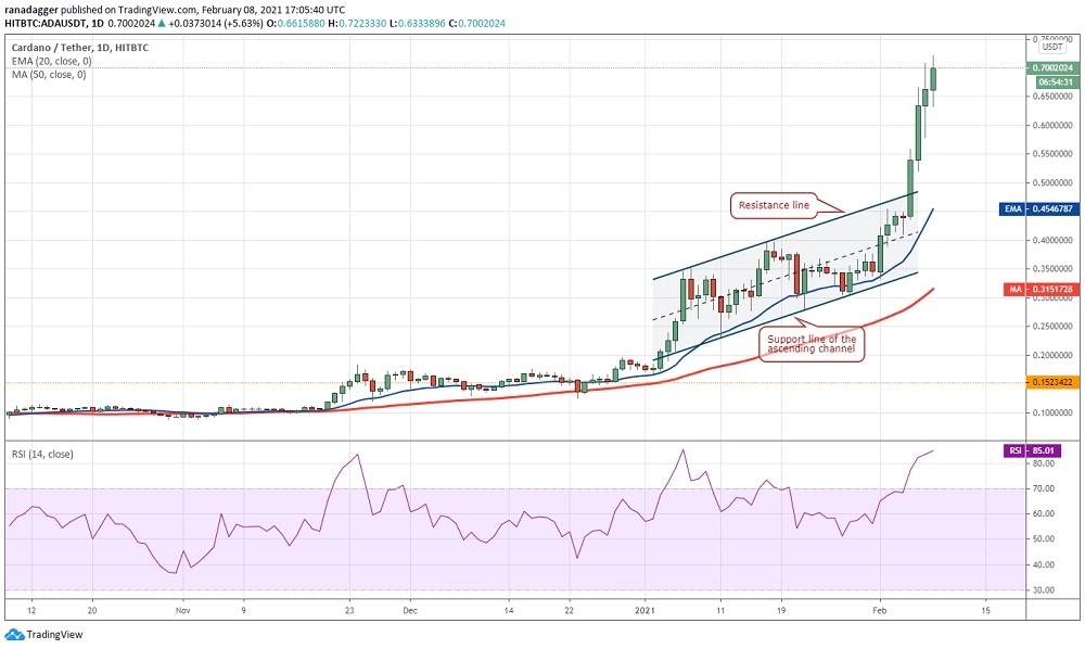 kriptoarena_cardano-da-teknik-gorunum-nasil516454