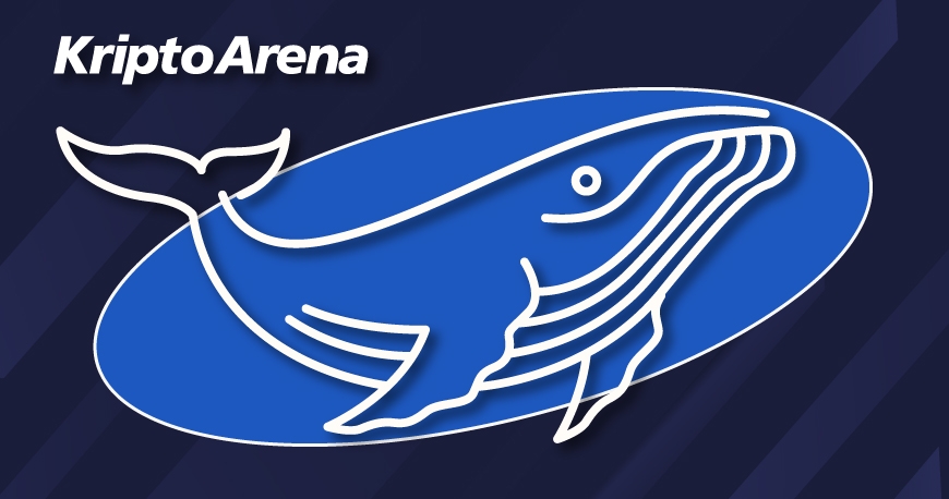 kriptoarena_chainlink-balinalari-biriktirmeye-devam369233