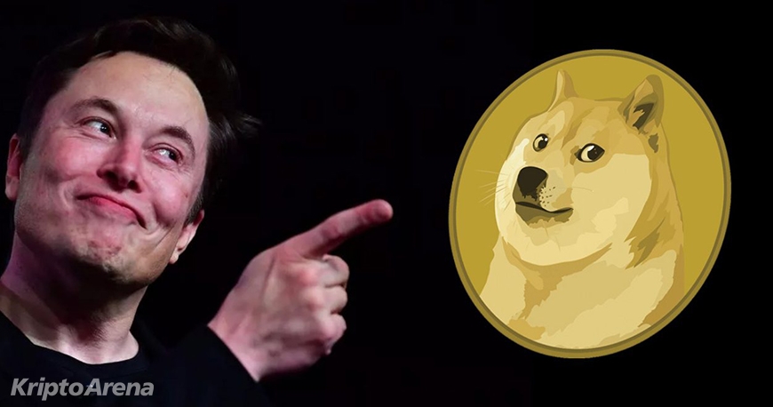 kriptoarena_dogecoin-in-yuzde-27-sinin-tutuldugu-bu-cuzdan903861