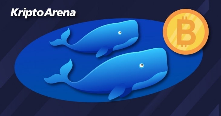 kriptoarena_eth-de-btc-tokenizasyonu-500-milyon-dolar-689167