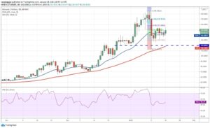 kriptoarena_litcecoin-de-ayi-boga595394