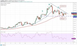 kriptoarena_litecoin-icin-kritik646864