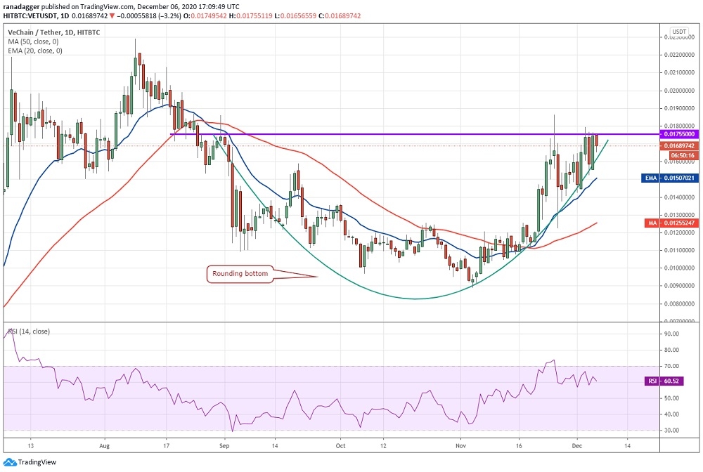 kriptoarena_vechain-vet-te-bogalar-basarili965347