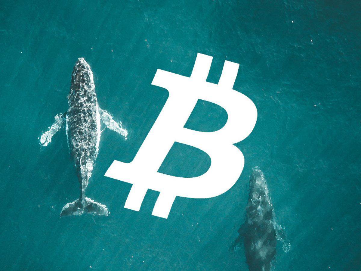 santiment-coin