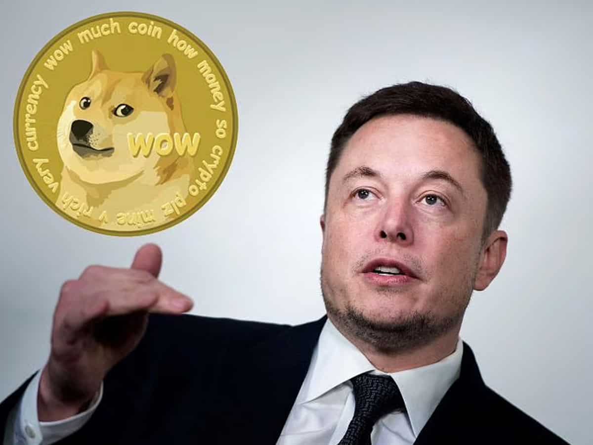 Dogecoin Yatırımcıları Zor Durumda: Elon Musk Devreye Gircek mi?