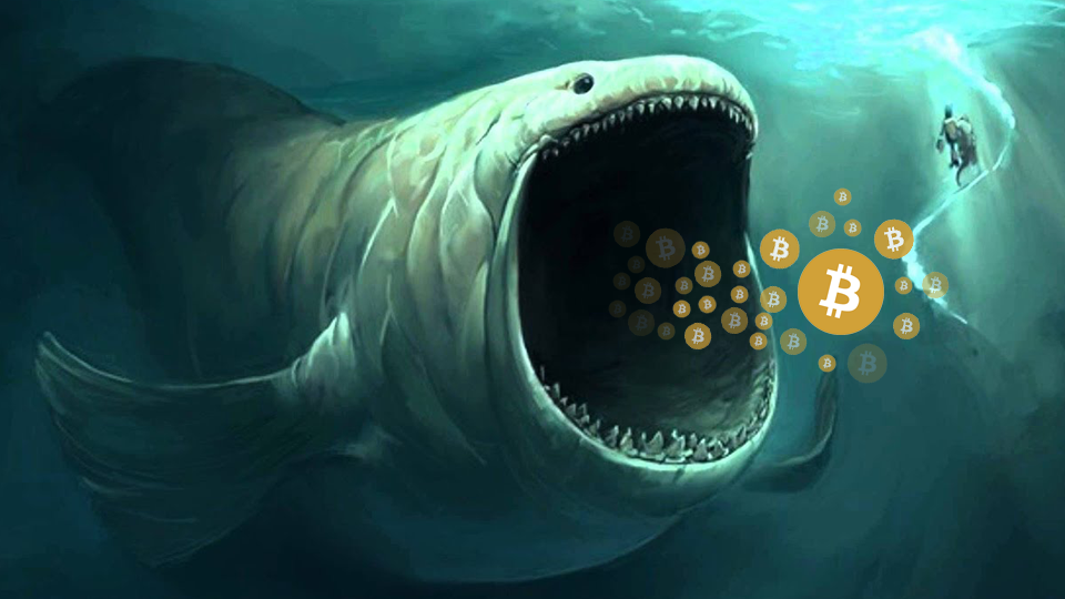 broker de balene bitcoin)