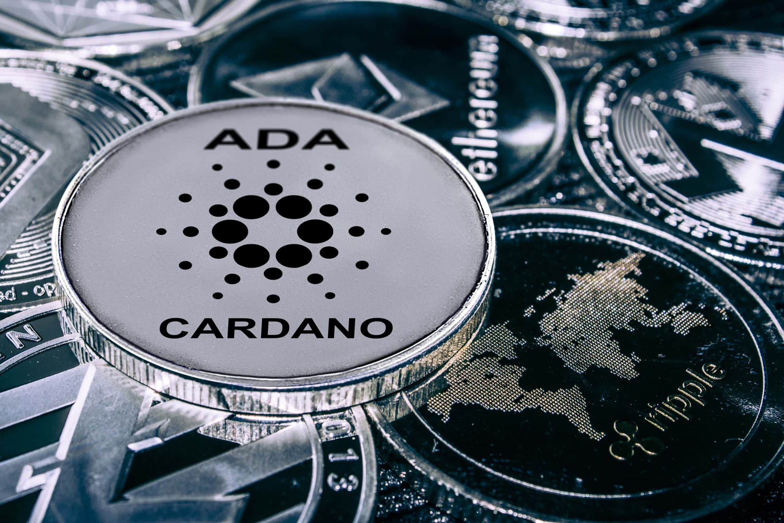Cardano Kurucusu: ADA Tarihindeki En Yoğun 90 Güne Hazırlanıyor!