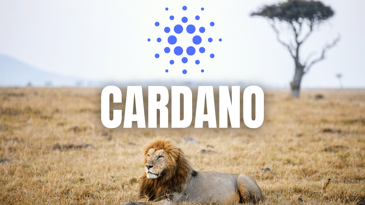 Cardano (ADA) Zafere Doymuyor: Milyoner Yatırımcı Sayısında Şok Artış