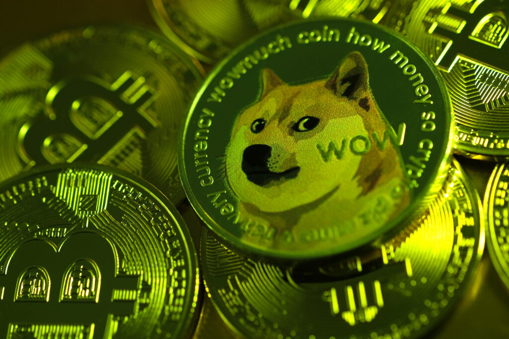 SkyBridge Capital CEO'su: Dogecoin Dijital Gümüş Olabilir!