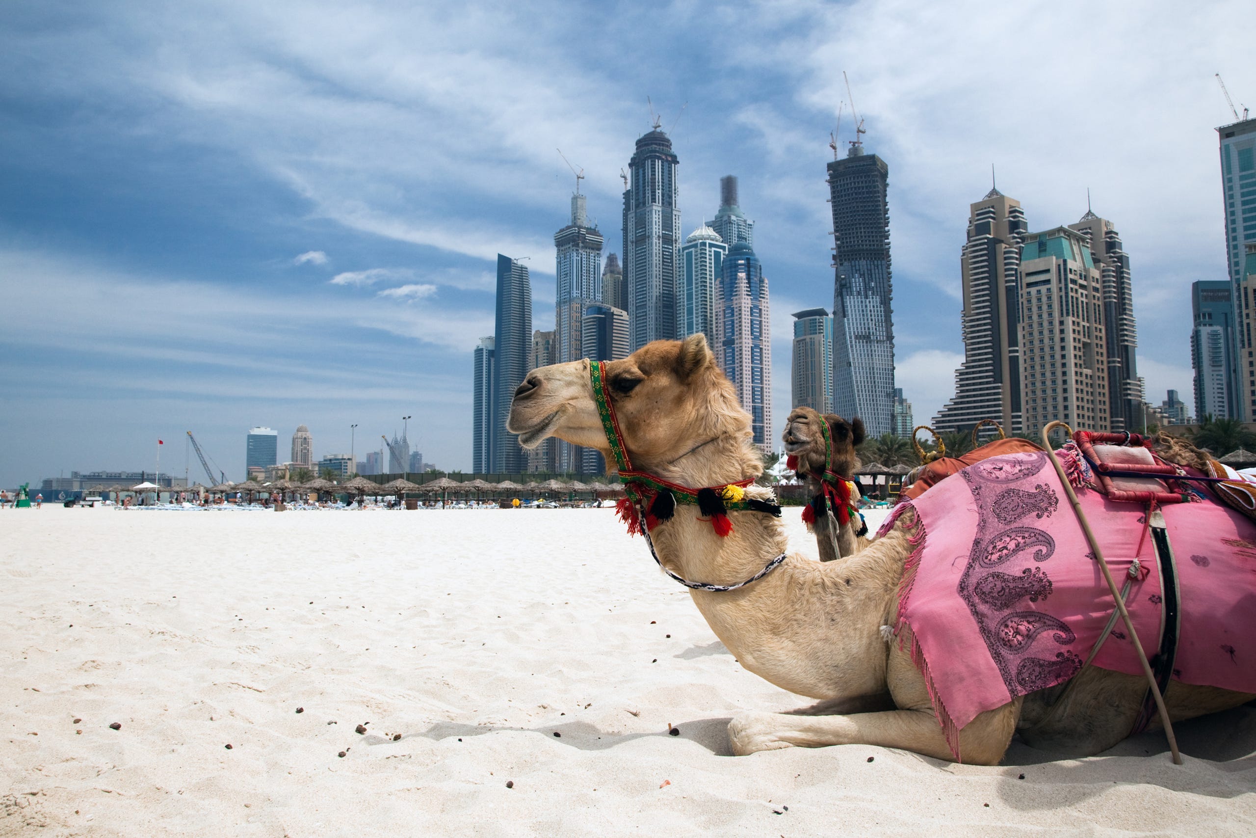 Dubaili Yetkililerden Kritik Uyarı: Bu Altcoin İle Alakamız Yok!