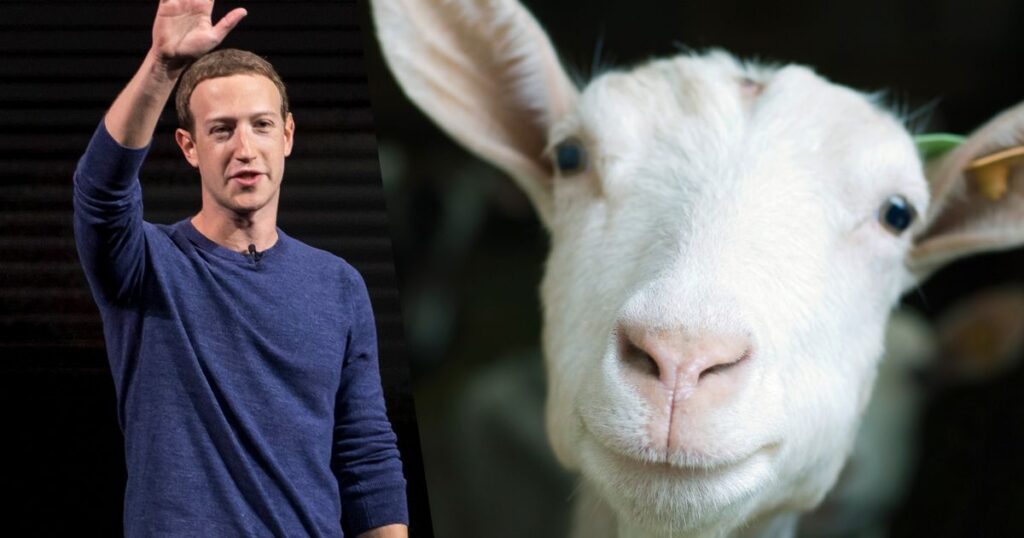 Mark Zuckerbeger Keçisinin Adını Neden Bitcoin (BTC) Koydu?