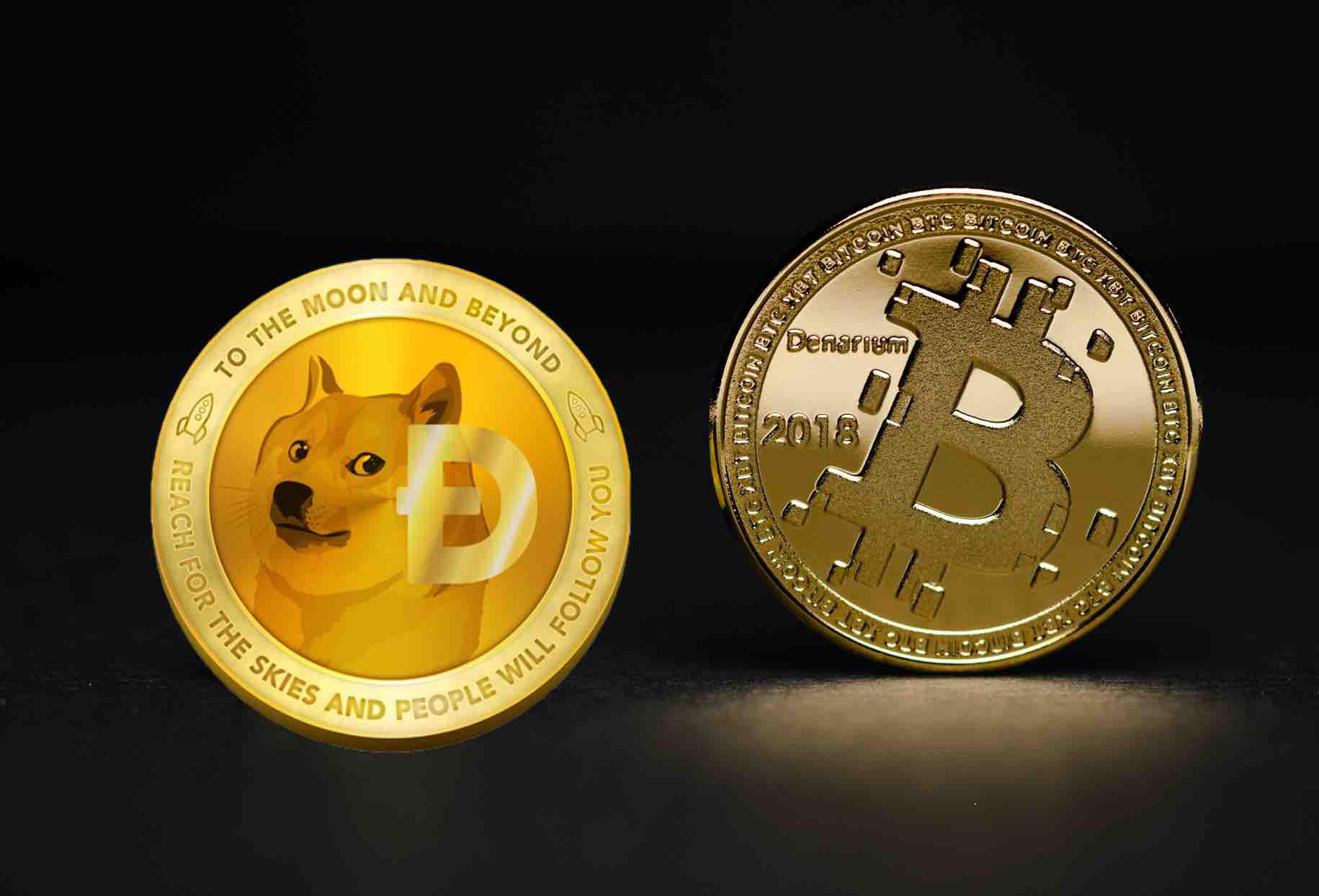 Ünlü İsimden Korkutan Dogecoin ve Bitcoin Yorumu: Felaket Gibi
