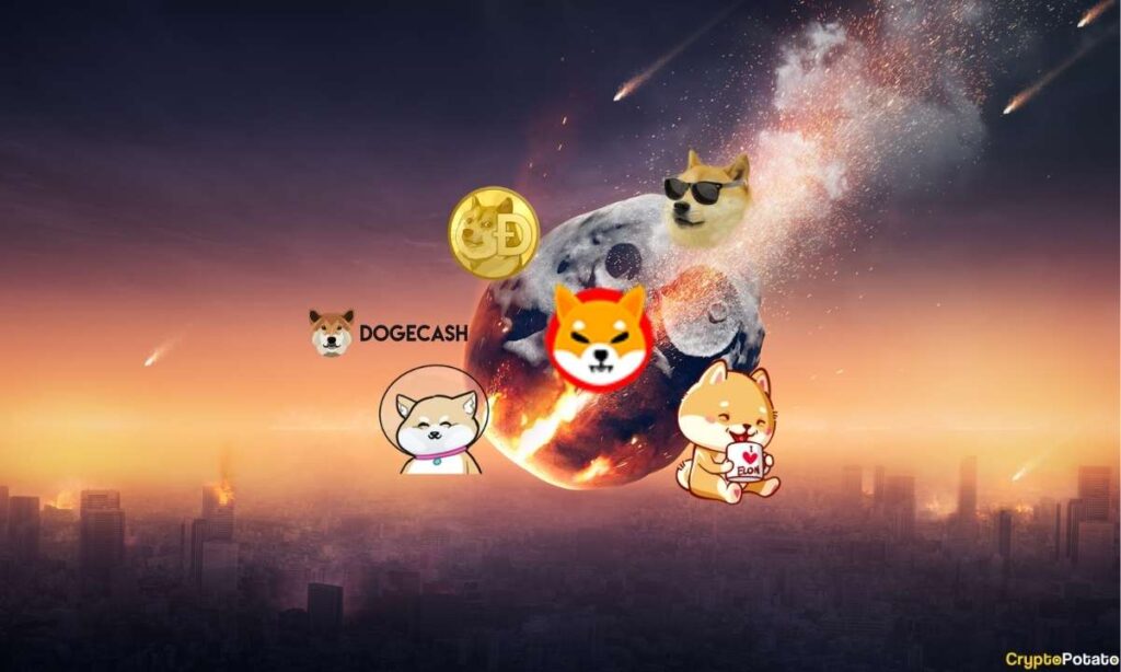 Bu 5 Altcoin İnanılmaz Çöktü! İşte Öğrettikleri...