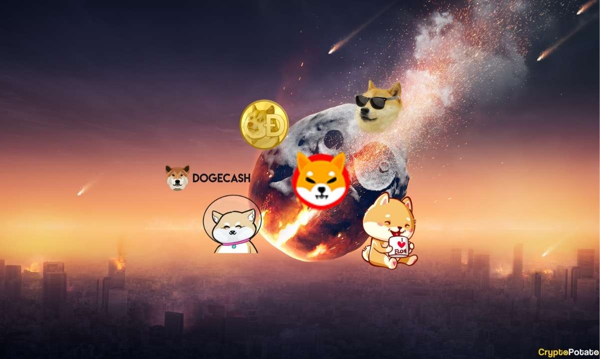 Bu 5 Altcoin İnanılmaz Çöktü! İşte Öğrettikleri...