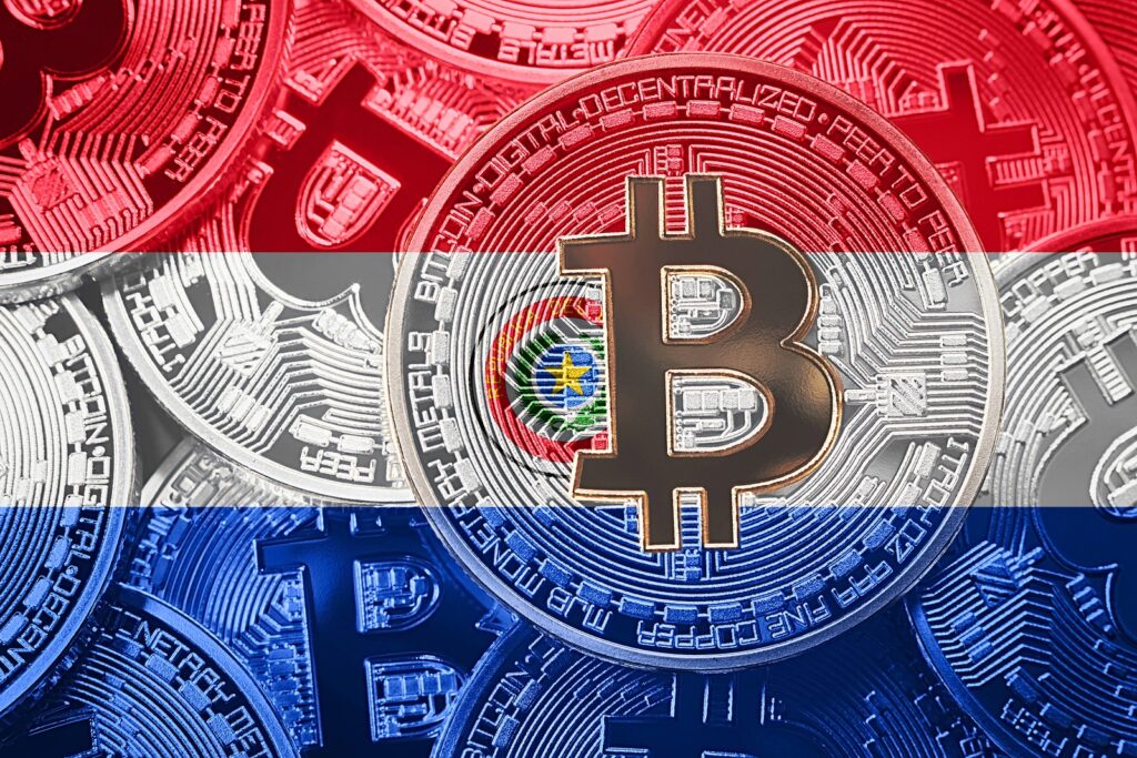 Paraguay Temmuz’da Bitcoin (BTC)’i Ulusal Para İlan Edecek!