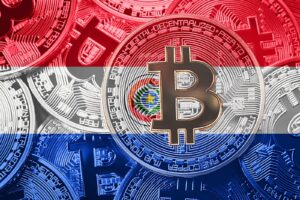 Paraguay Temmuz’da Bitcoin (BTC)’i Ulusal Para İlan Edecek!