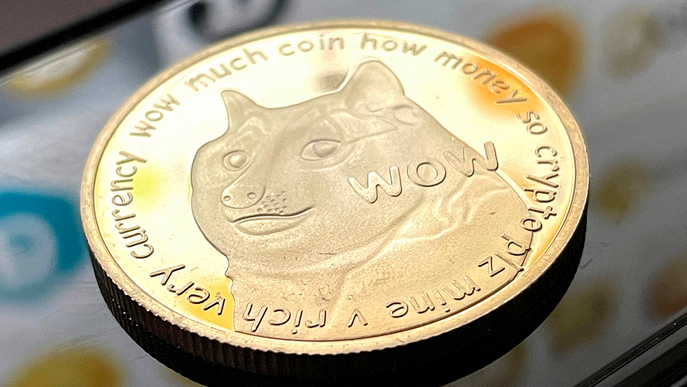 Japonya'da Dogecoin İçin Bir İlk!