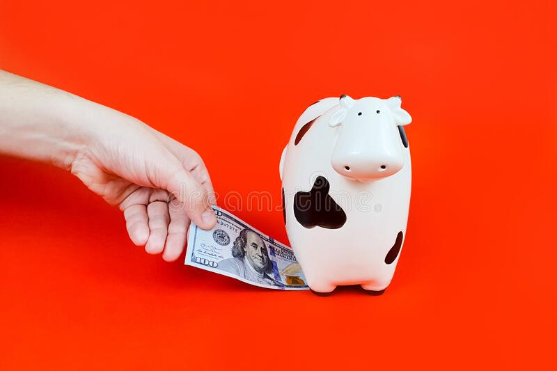 Kripto Paralardan Uzaklaşan Güney Koreli Gençler Bu Sektöre Yöneliyor!