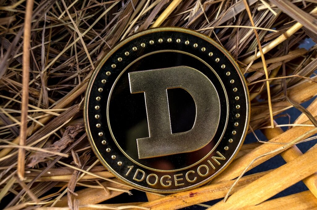 Dogecoin Fiyat Analizi: DOGE İstikrarlı Bir Yükseliş Sergileyecek mi?