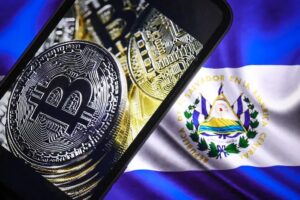 Birleşmiş Milletler'den El Salvador'un Bitcoin (BTC) Kararına Tepki!