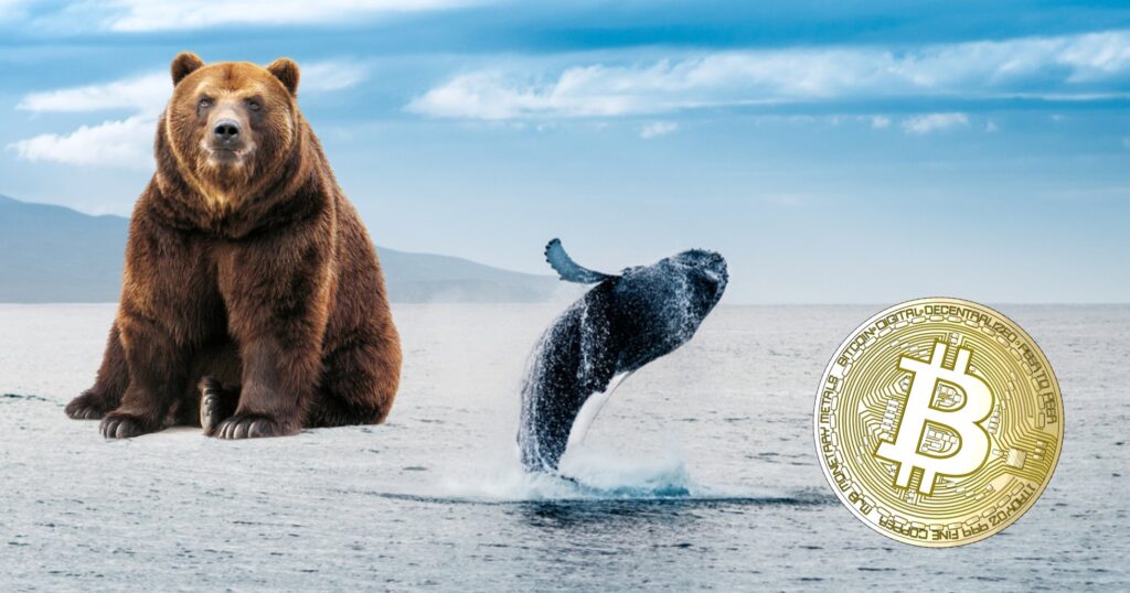 Bu Gelişme Bitcoin (BTC) Fiyatını 30 Bin Doların Altına Düşürebilir!