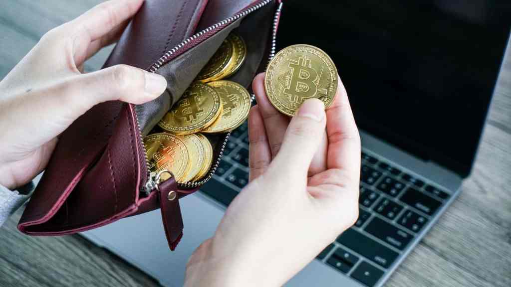 Güney Afrikalı Genç Mühendis 20 Bitcoin Tutan Cüzdanın Anahtarını Sildi
