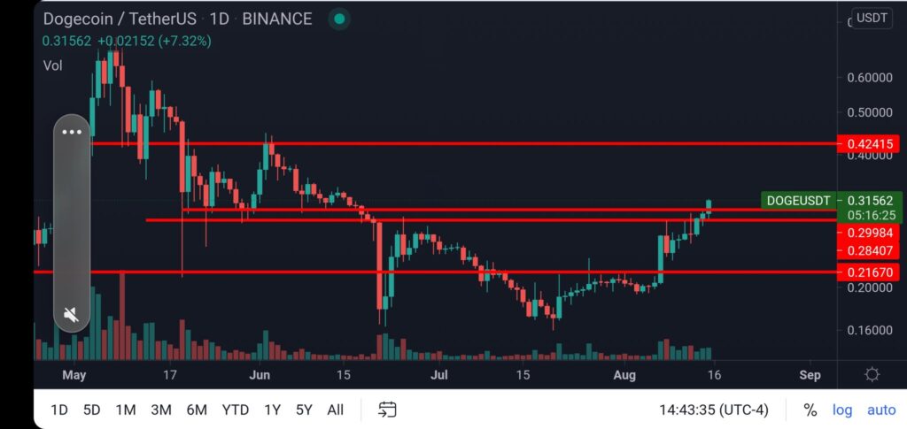 Altcoin Dogecoin Kaynak: Justin Bennett/Twitter