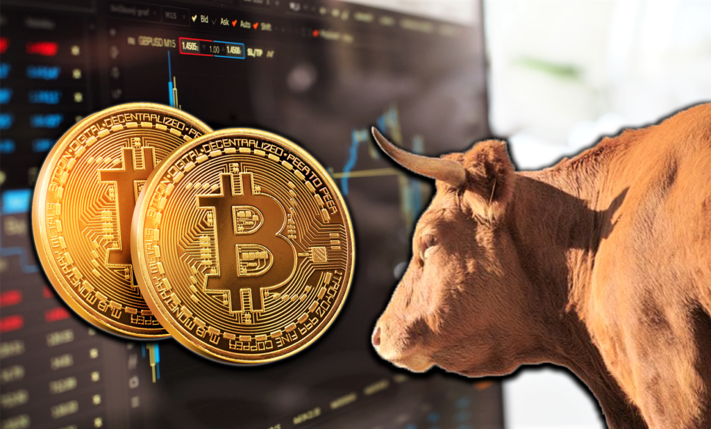 Bitcoin (BTC)'in 50 Bin Doları Aşması Ne Anlama Geliyor? İşte Uzman Yorumları!