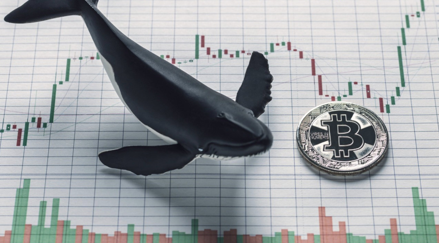 Zincir Üstü Analist Willy Woo'dan Çarpıcı Bitcoin (BTC) Açıklaması!