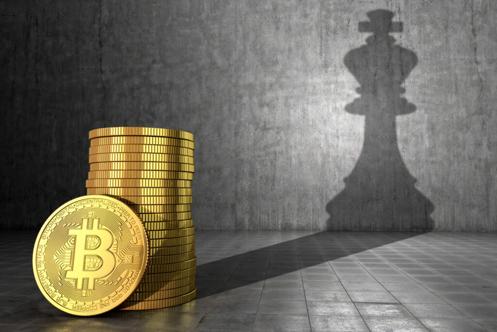 Tüyo Geldi: Ne Zaman Bitcoin Satın Alınmalı?