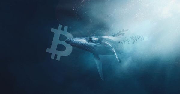 Santiment'ten Kritik Açıklama: Bitcoin 60 Bin Dolara Ne Zaman Ulaşacak?