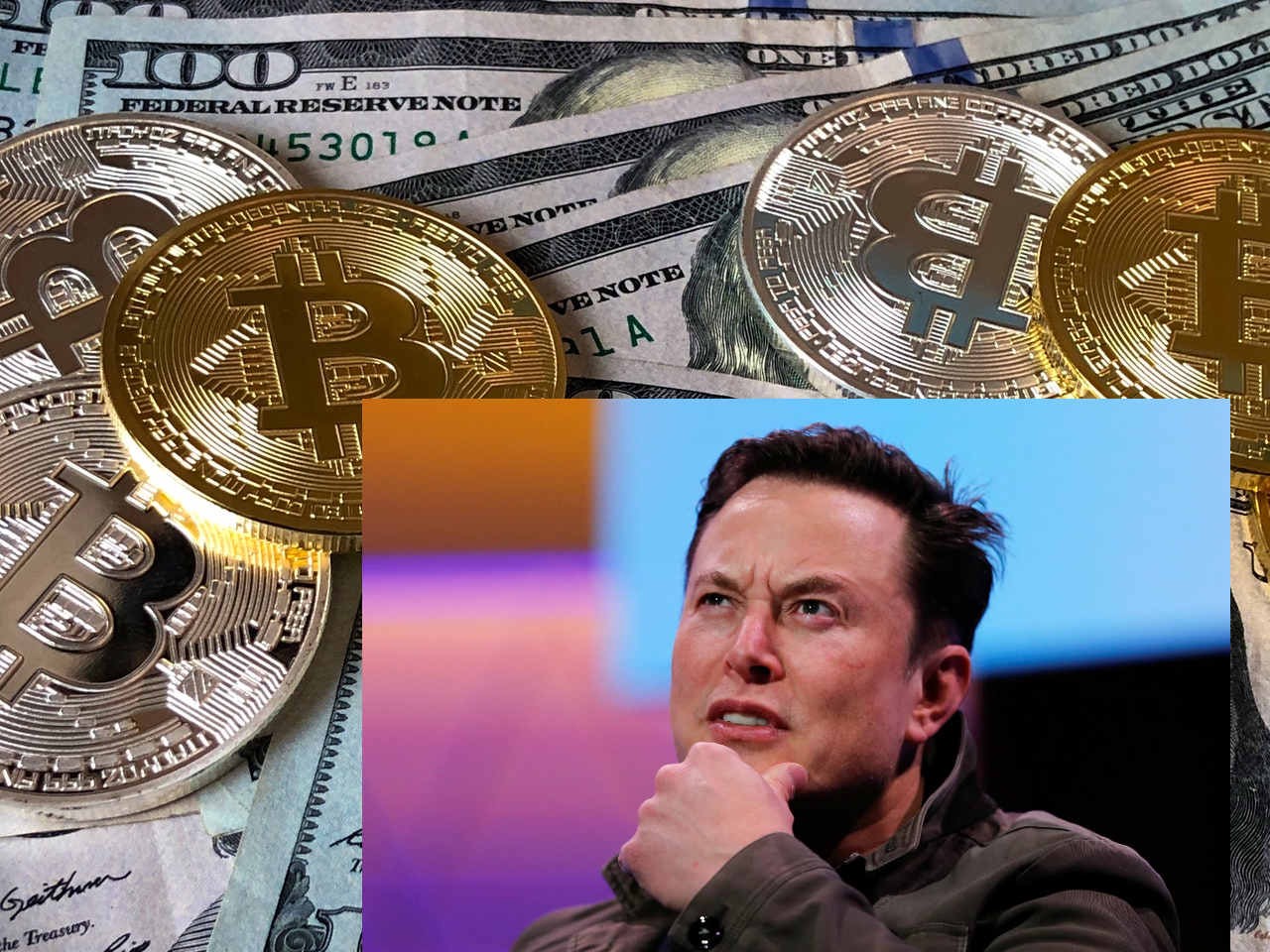 Çarpıcı İddia: Elon Musk, Bu 2 Kripto Para Birimini Portföyüne Ekleyebilir!