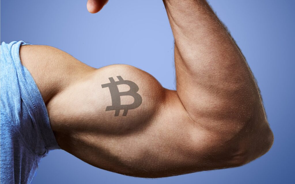 Bloomberg ve SEC'den Müjde: Bitcoin İçin Yeni ATH Bekleniyor!